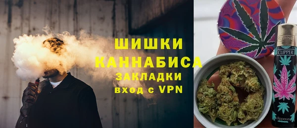 молекула духа Арсеньев