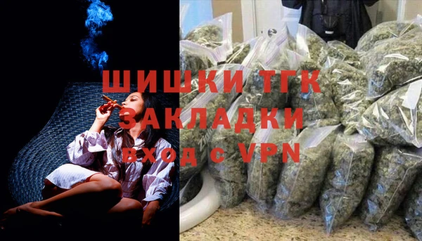 молекула духа Арсеньев
