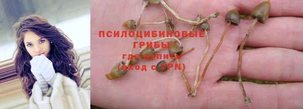 не бодяженный Аркадак