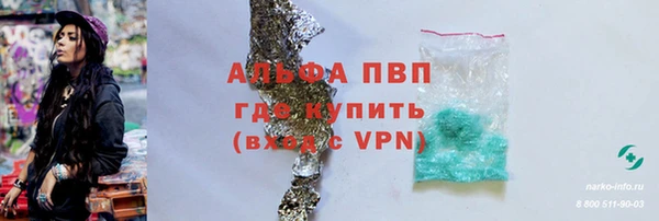 молекула духа Арсеньев