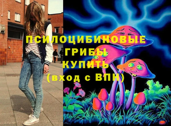 молекула духа Арсеньев