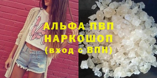 гидра Горнозаводск