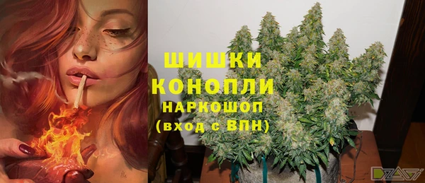 стаф Вяземский