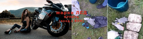 не бодяженный Аркадак